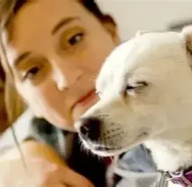 CBD Care - Pet Care customer–Lilly L. ~Taxes, USA